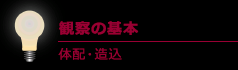 観察の基本